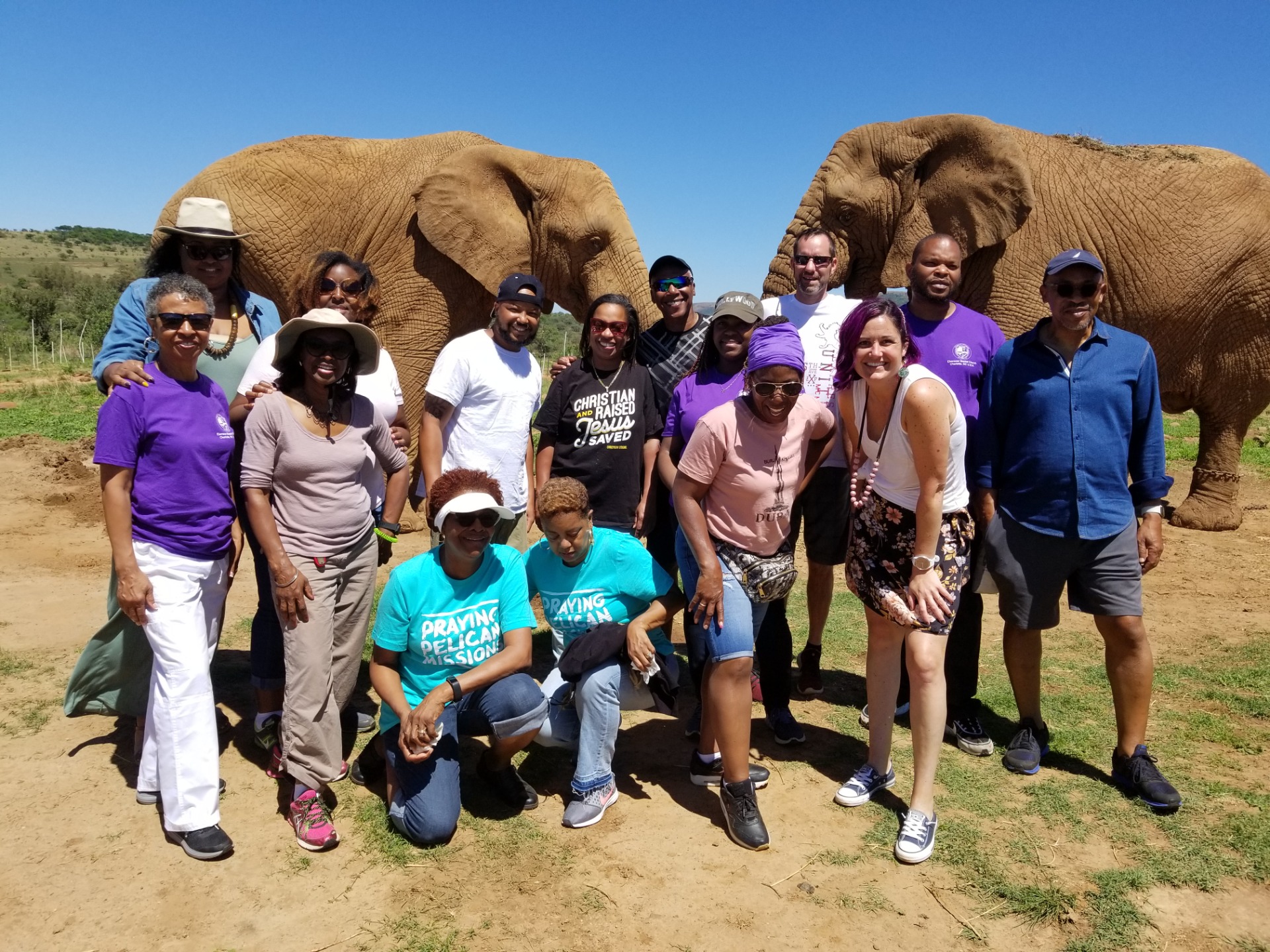 Elephants and Safari!