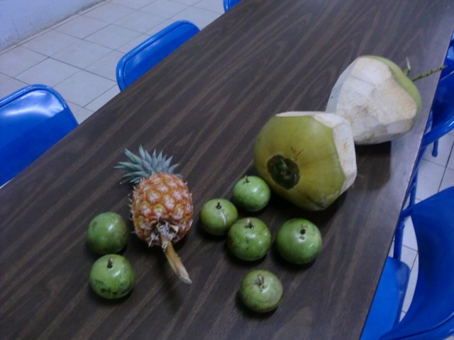 Jamaican fruits!