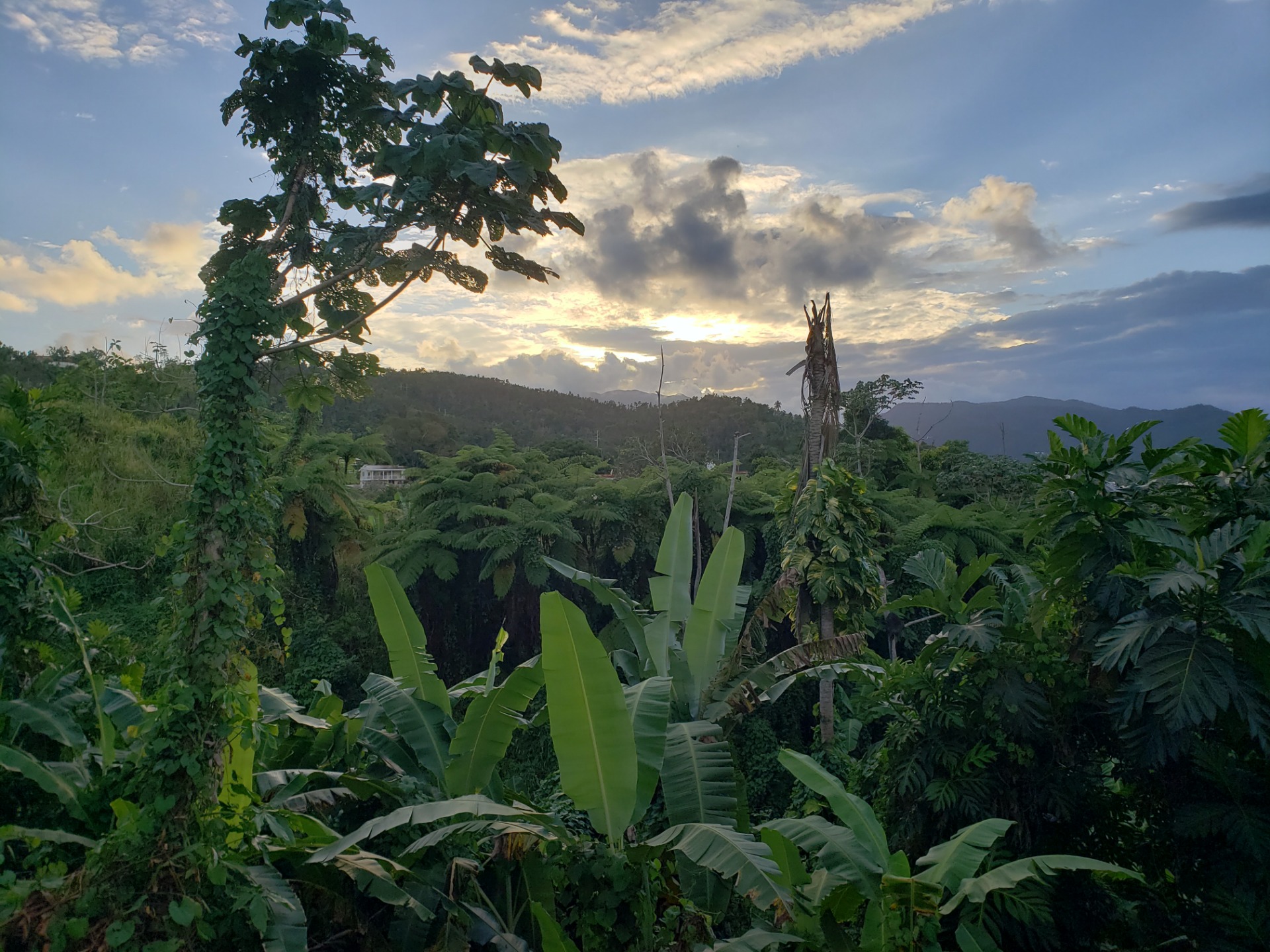 Beautiful Puerto Rico