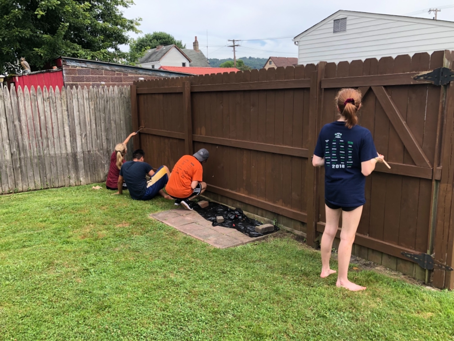 Painting Fences