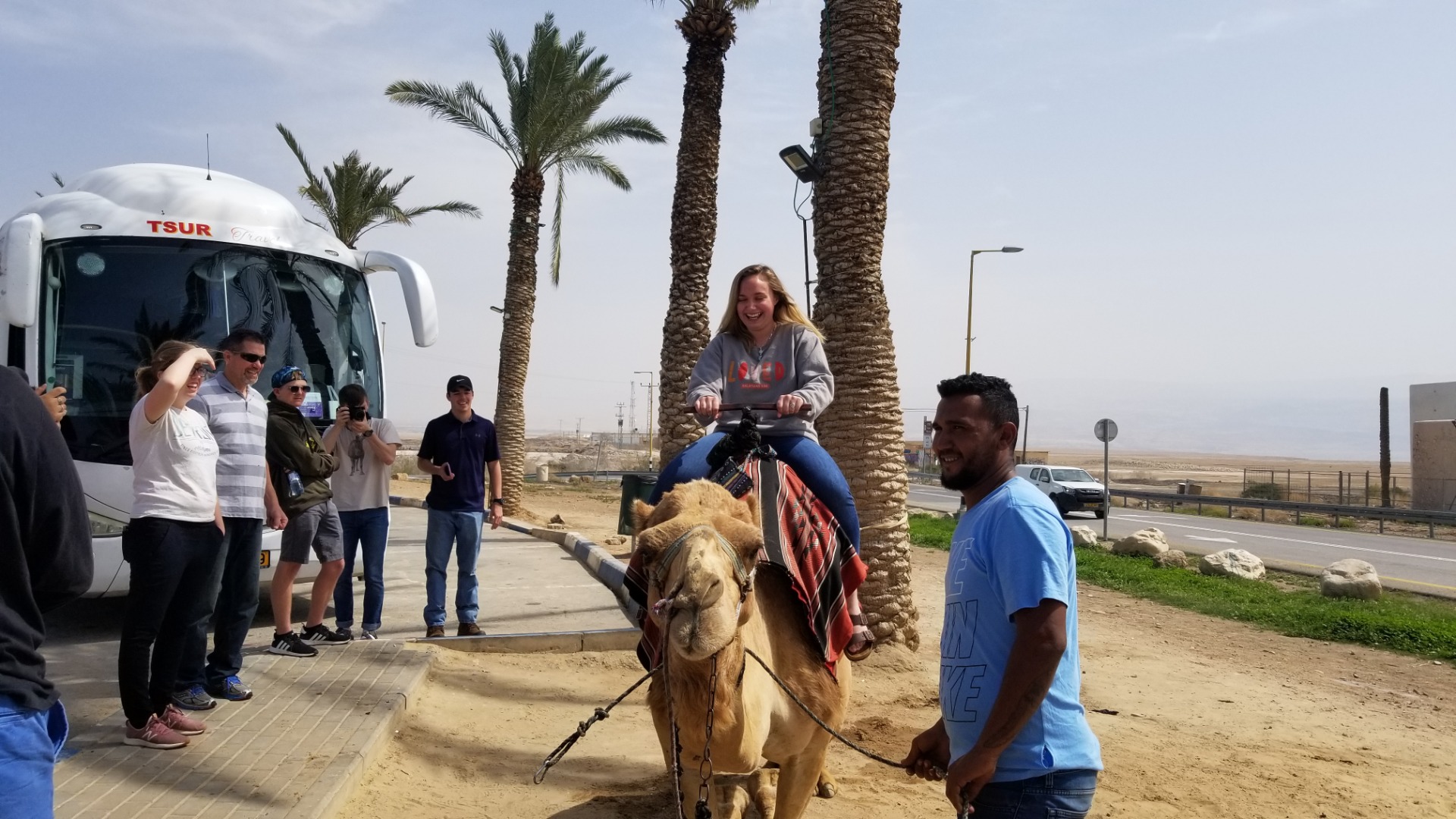 The Dead Sea and Camel Rides