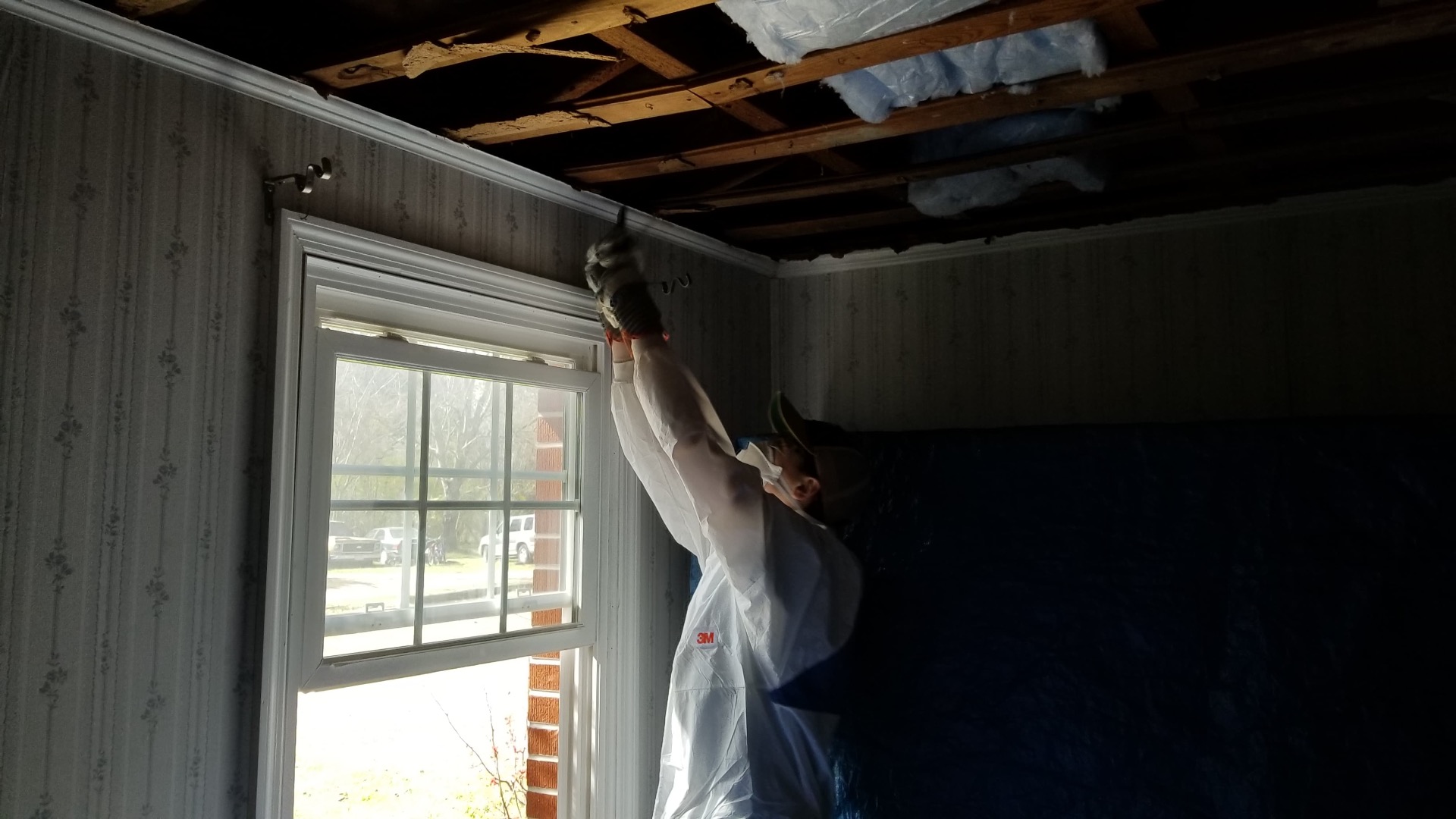 Ceiling Insulation