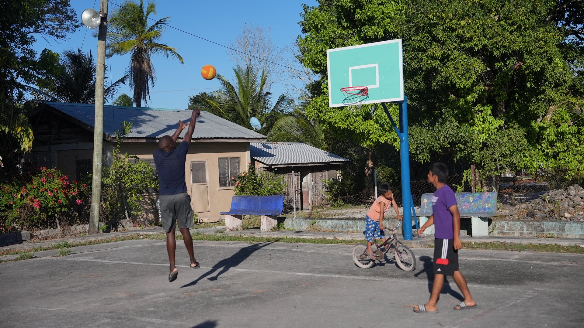 Basketball Hoop ✅