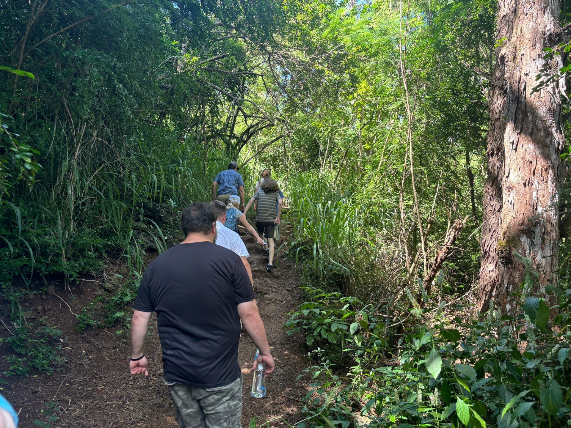 Afternoon Hike