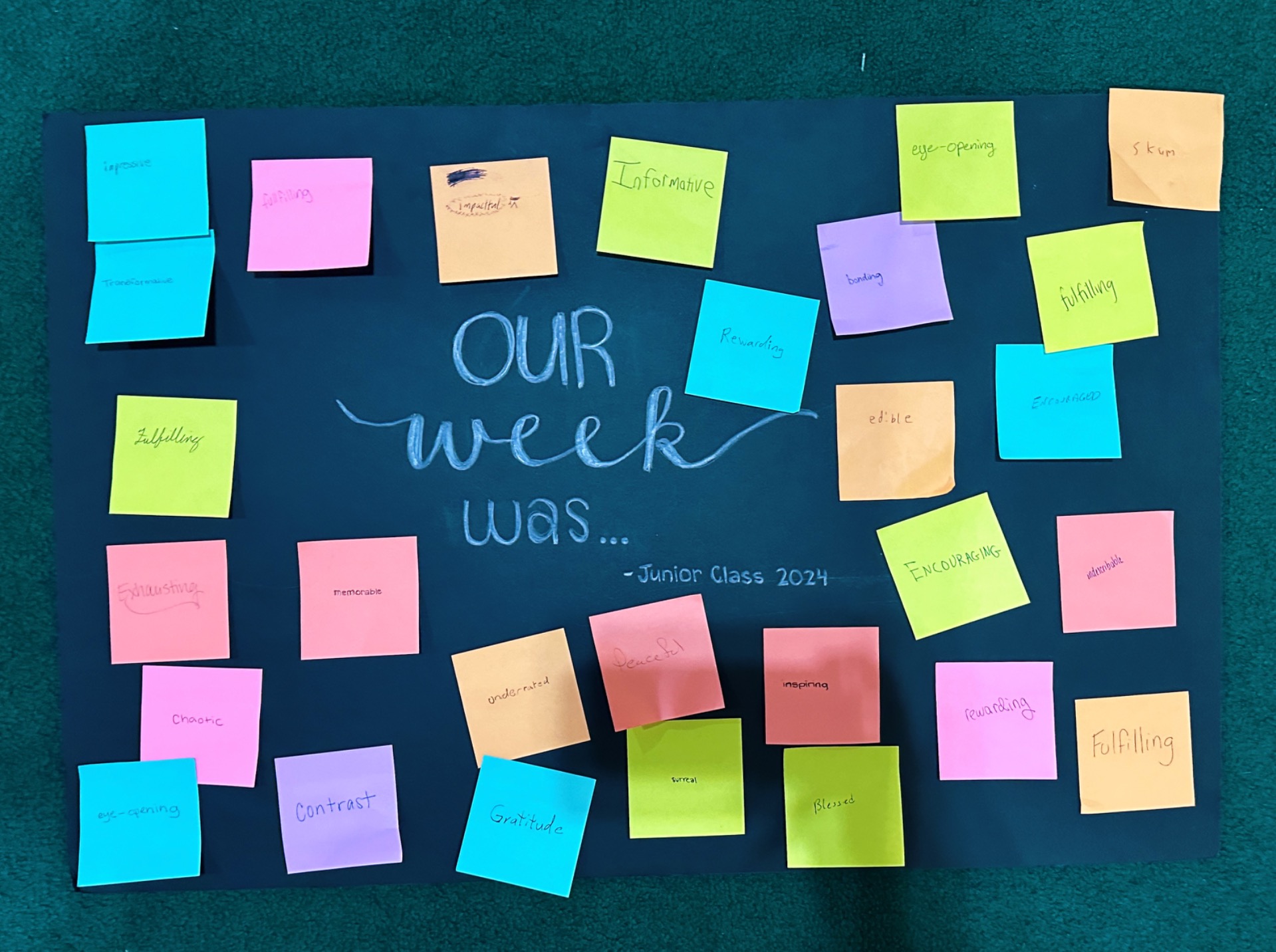 Our Week Was…