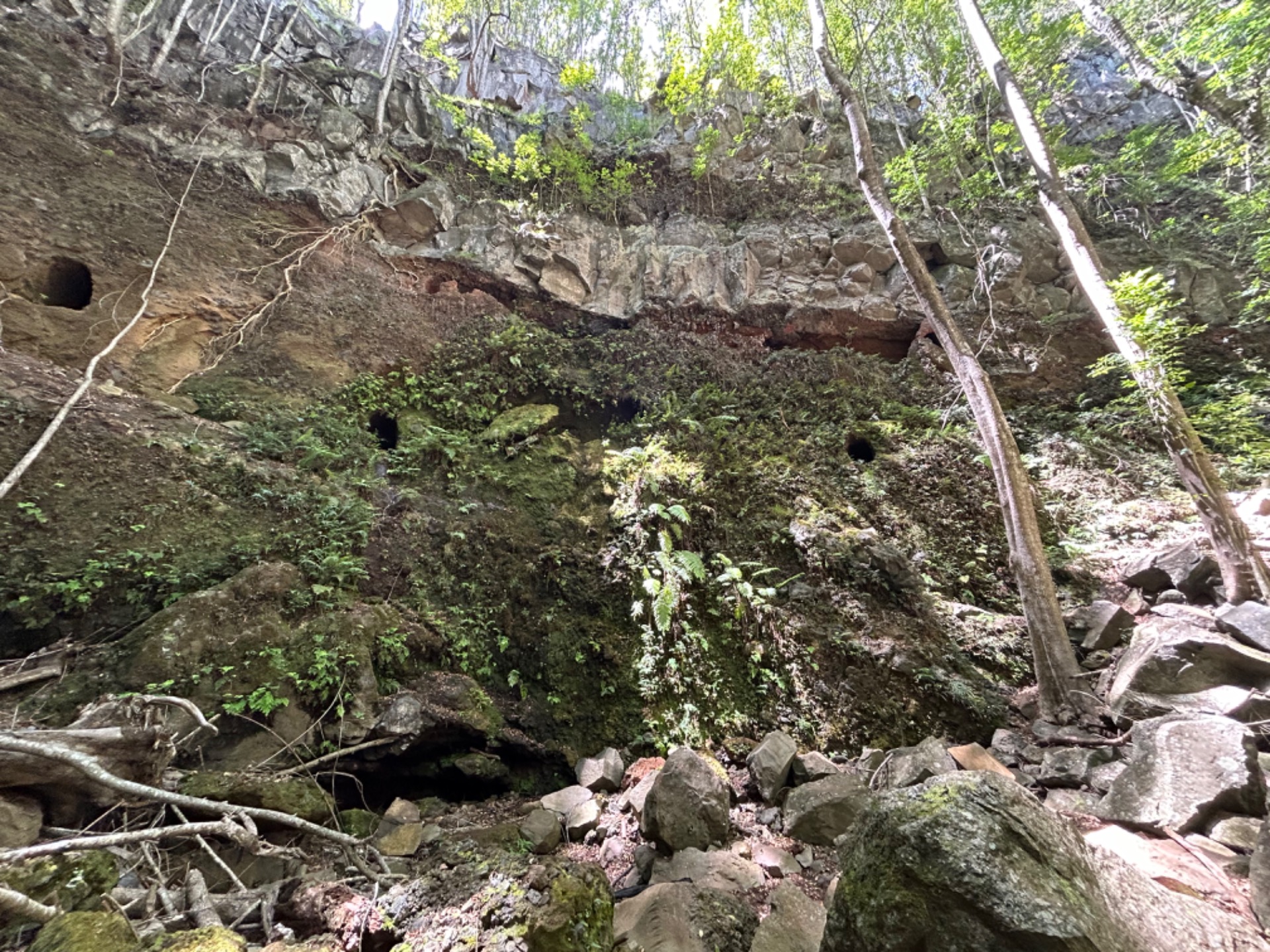 Worship in God’s Creation