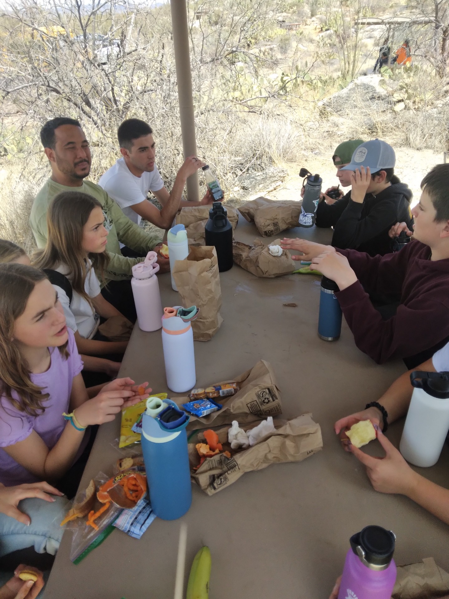 Picnicking in the Desert Group 6