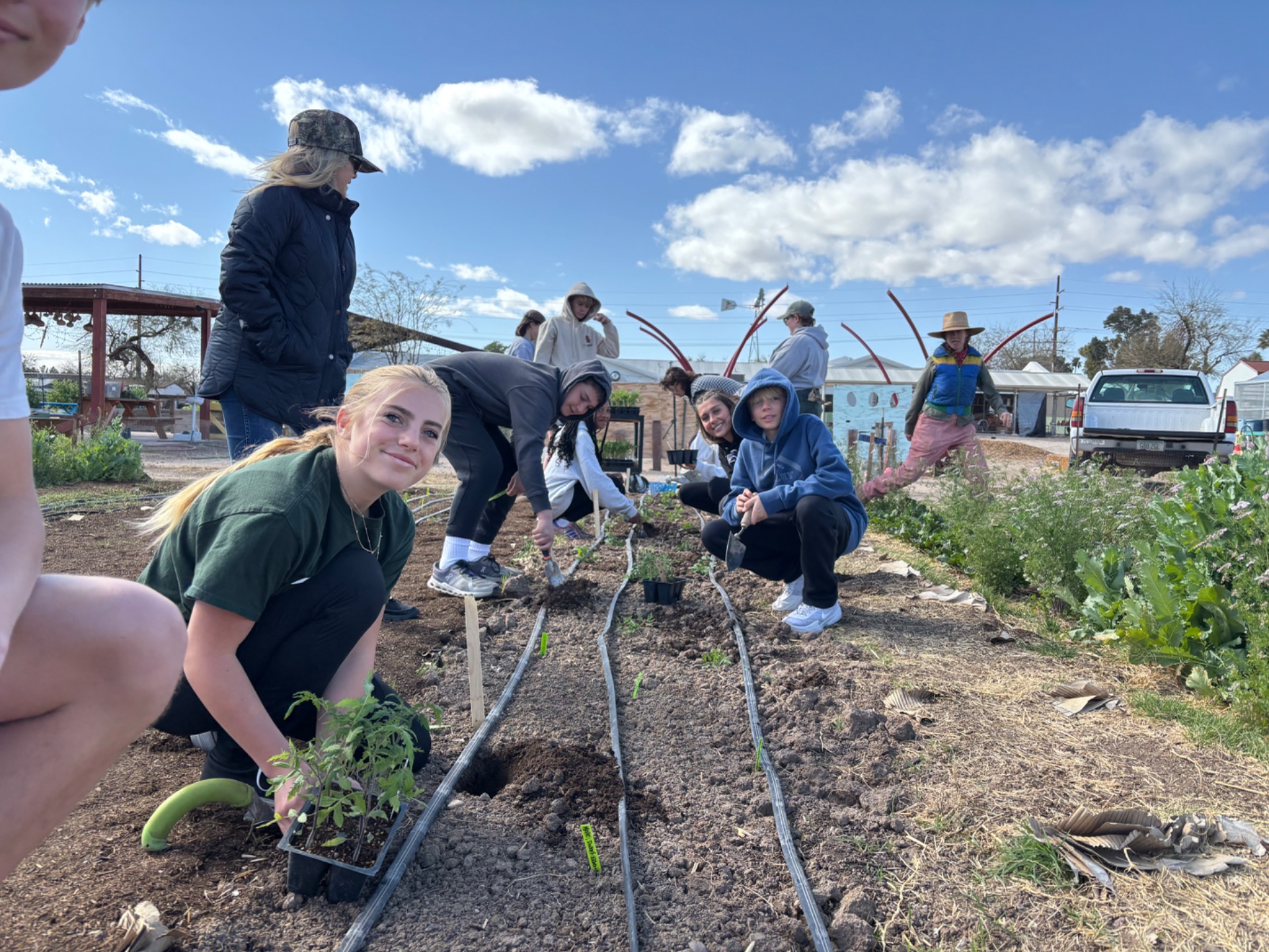 Planting and Harvesting!