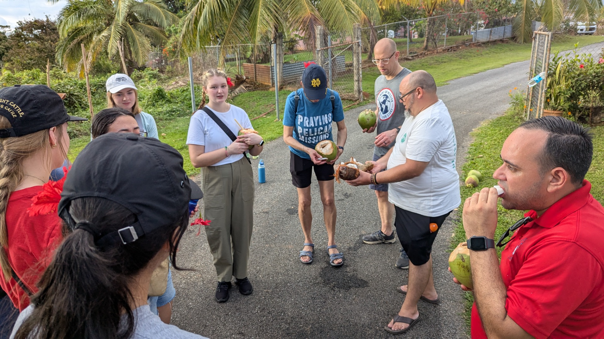Coconuts!