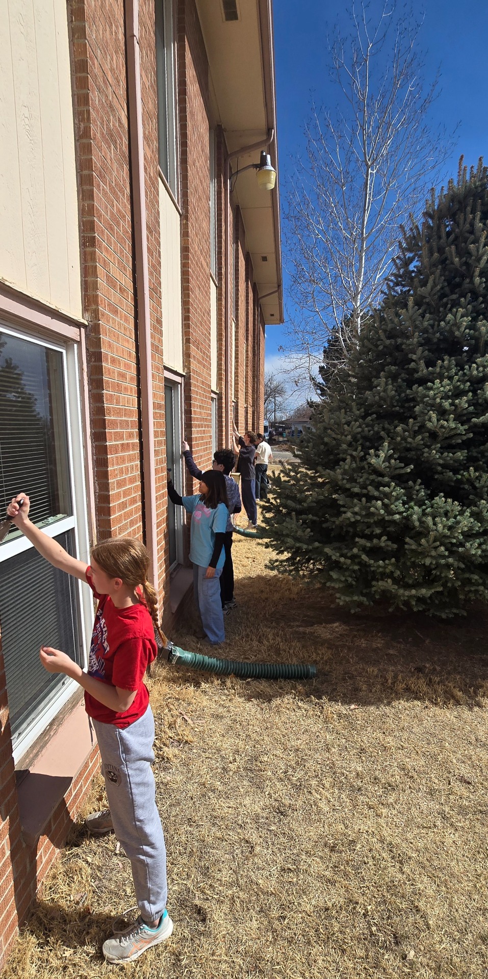 Painting the Windows