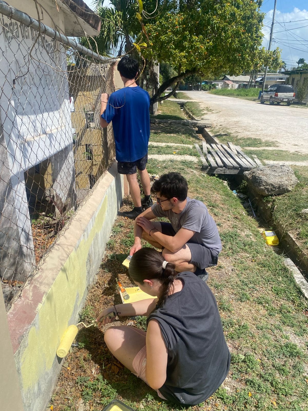 Fence Painting