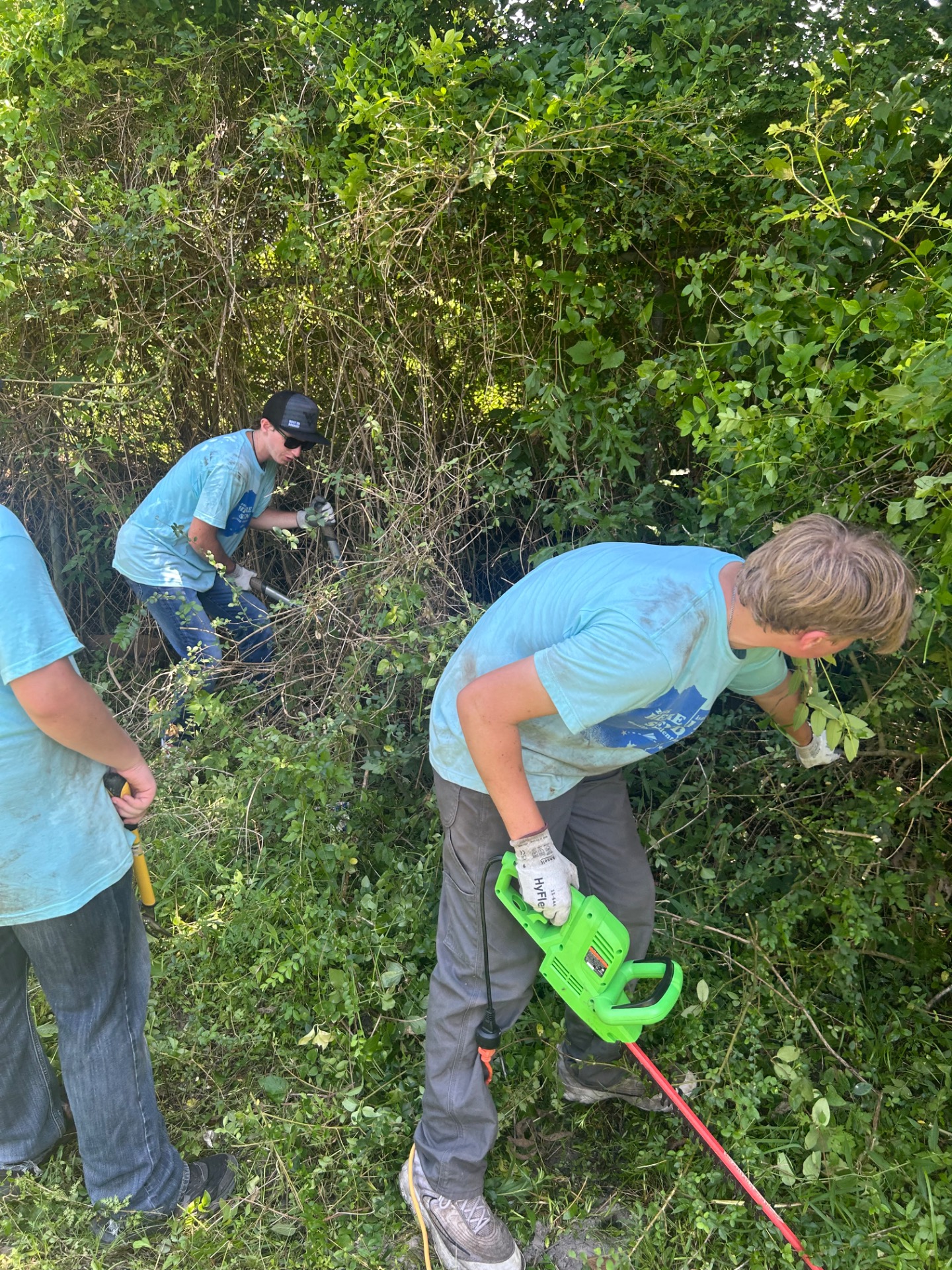 Demolish Bush