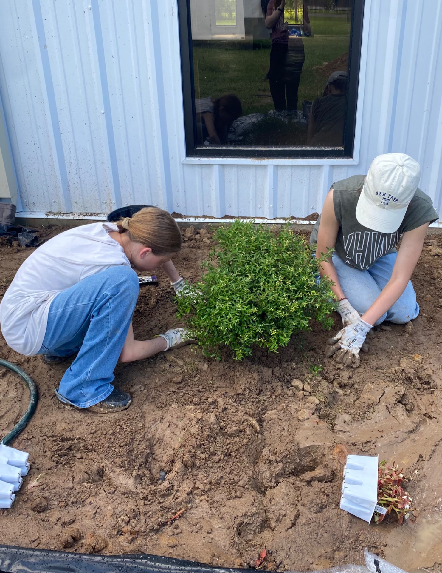 Patting the Soil