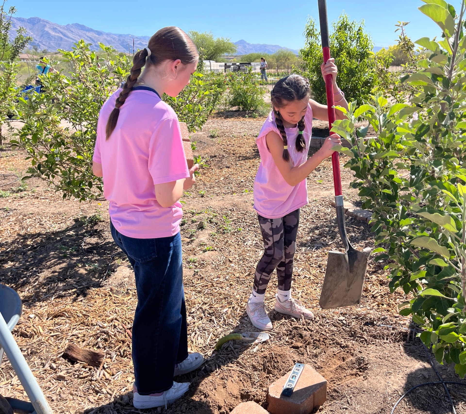 Tucson Village Farm