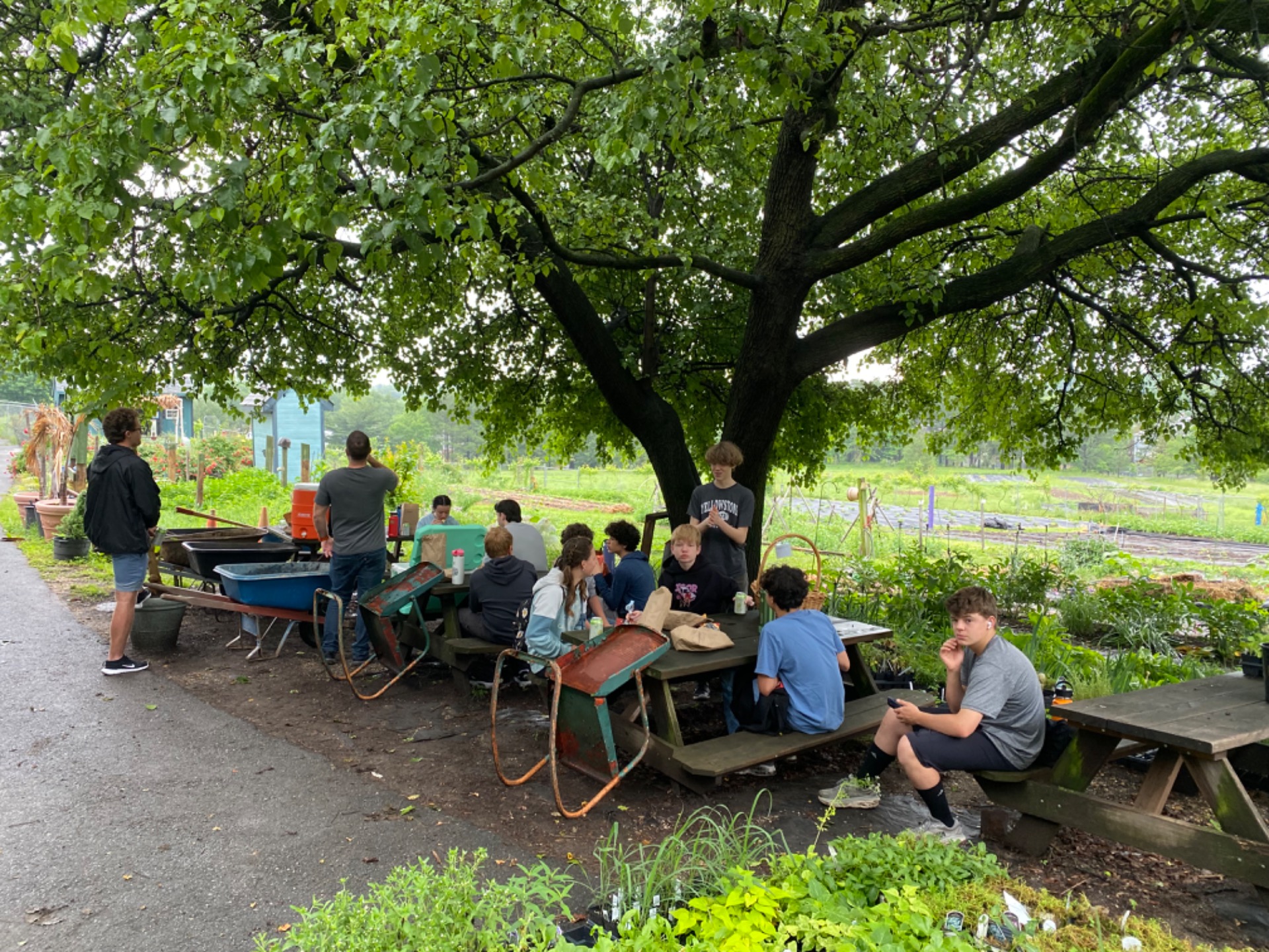 Lunch at the Garden