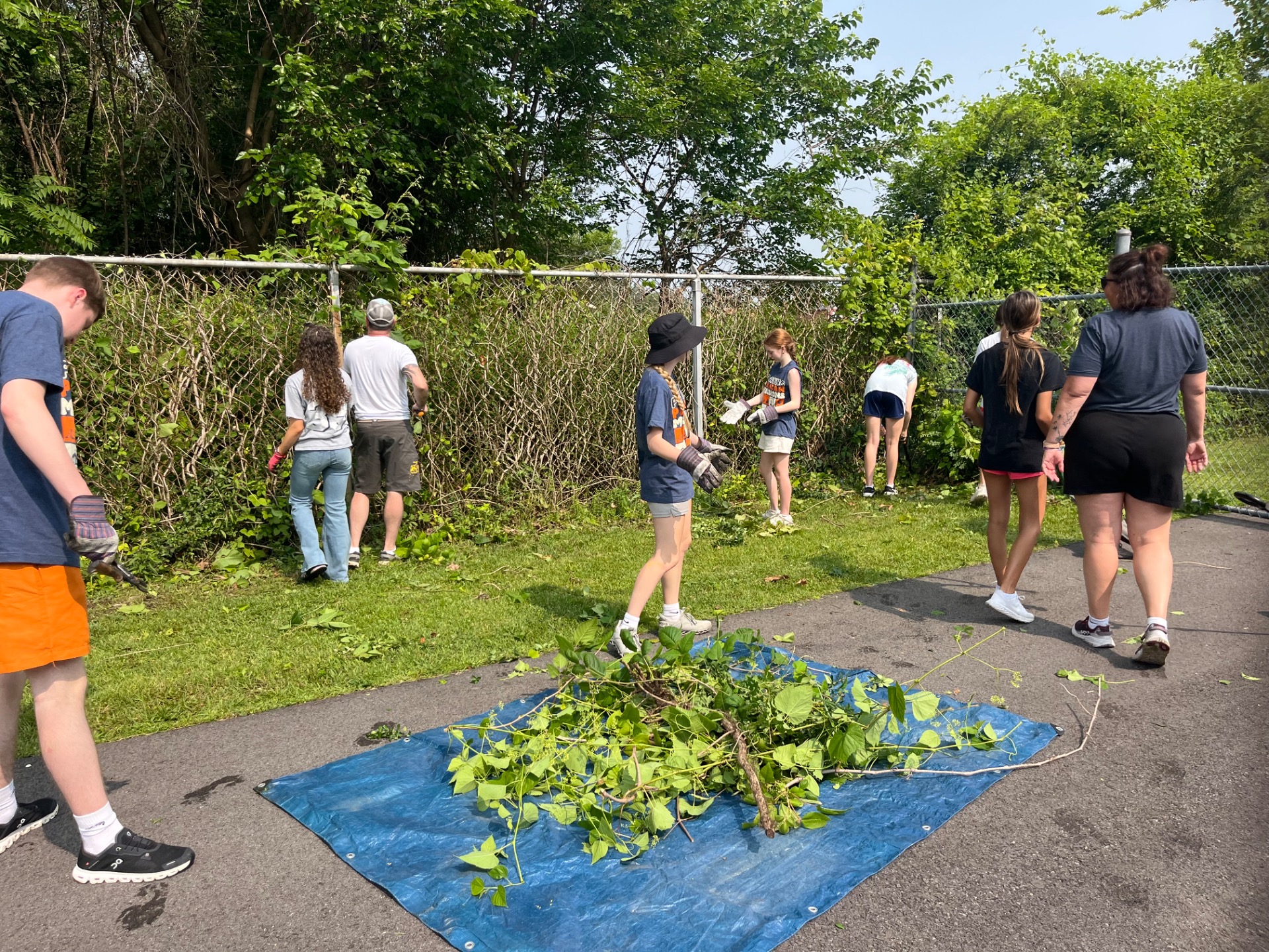 Making a Difference, One Vine at a Time 