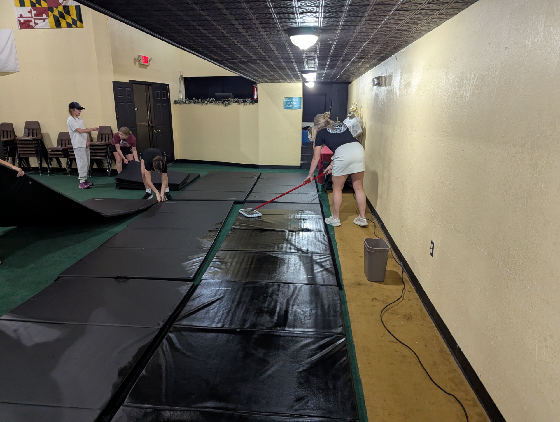 Scrubbing Mats