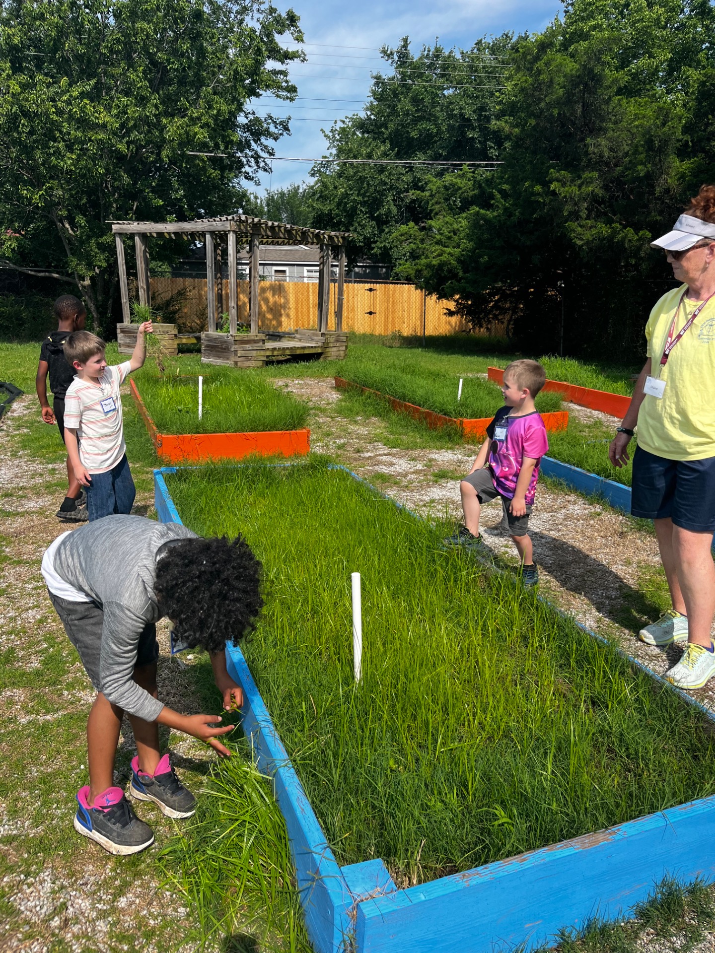 Weeding the Garden!