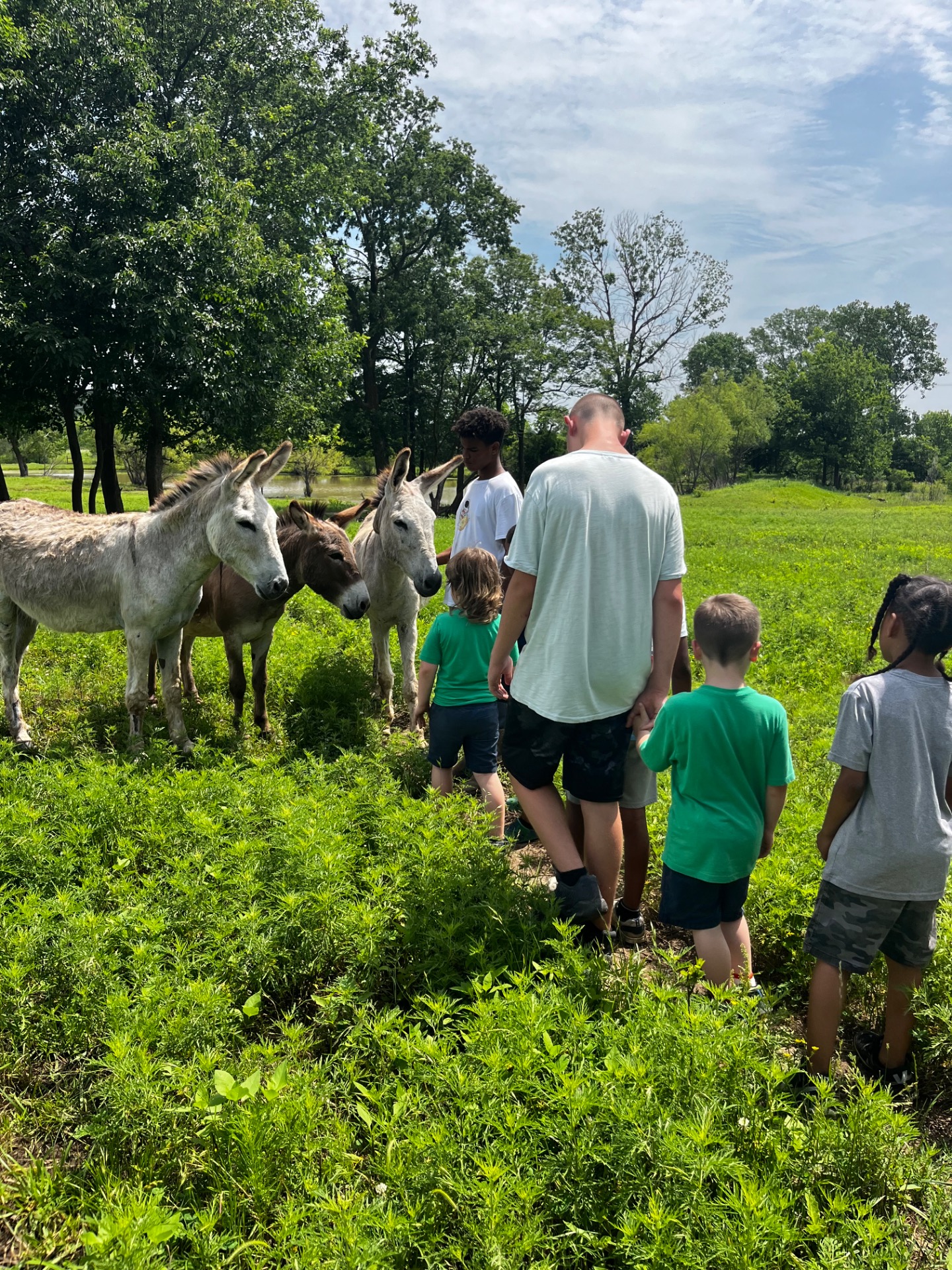 Camp at the Ranch