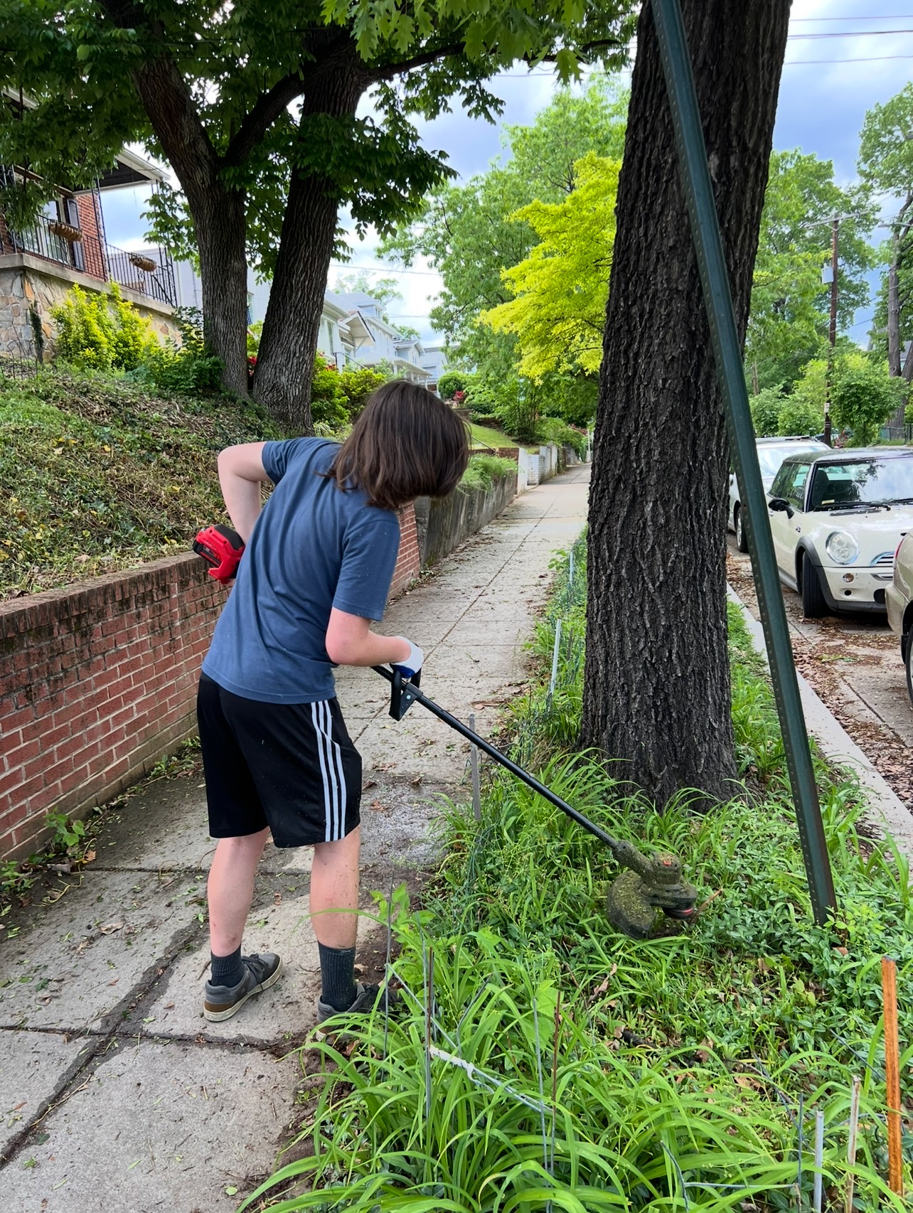Taking Down the Weeds!