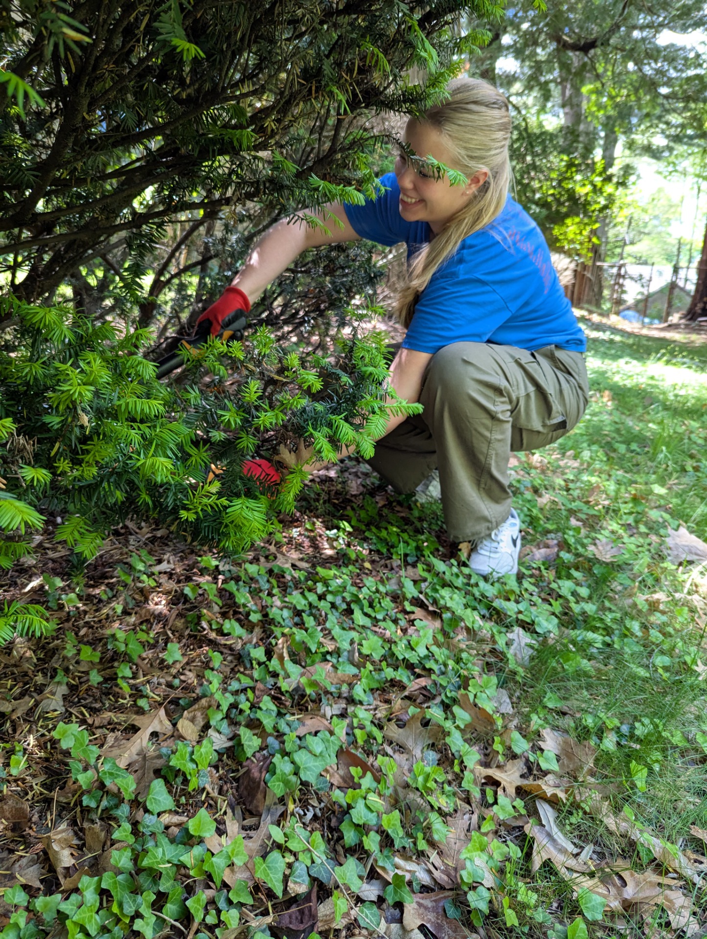 Yardwork