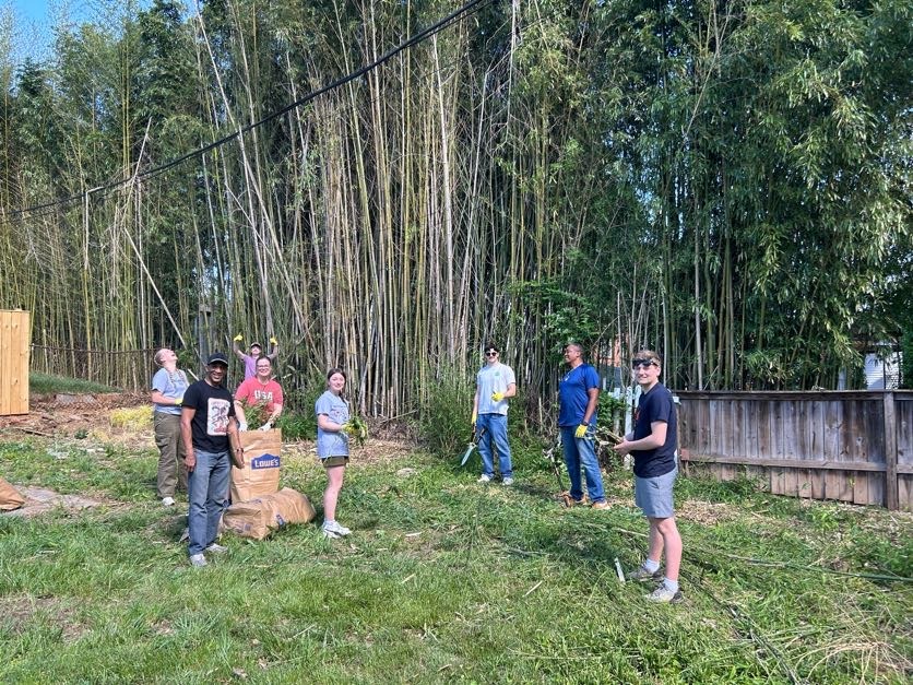 Bamboo!