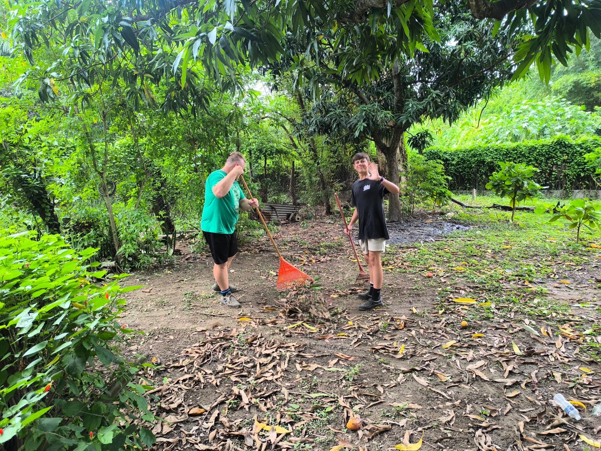 Cleaning the nursing home