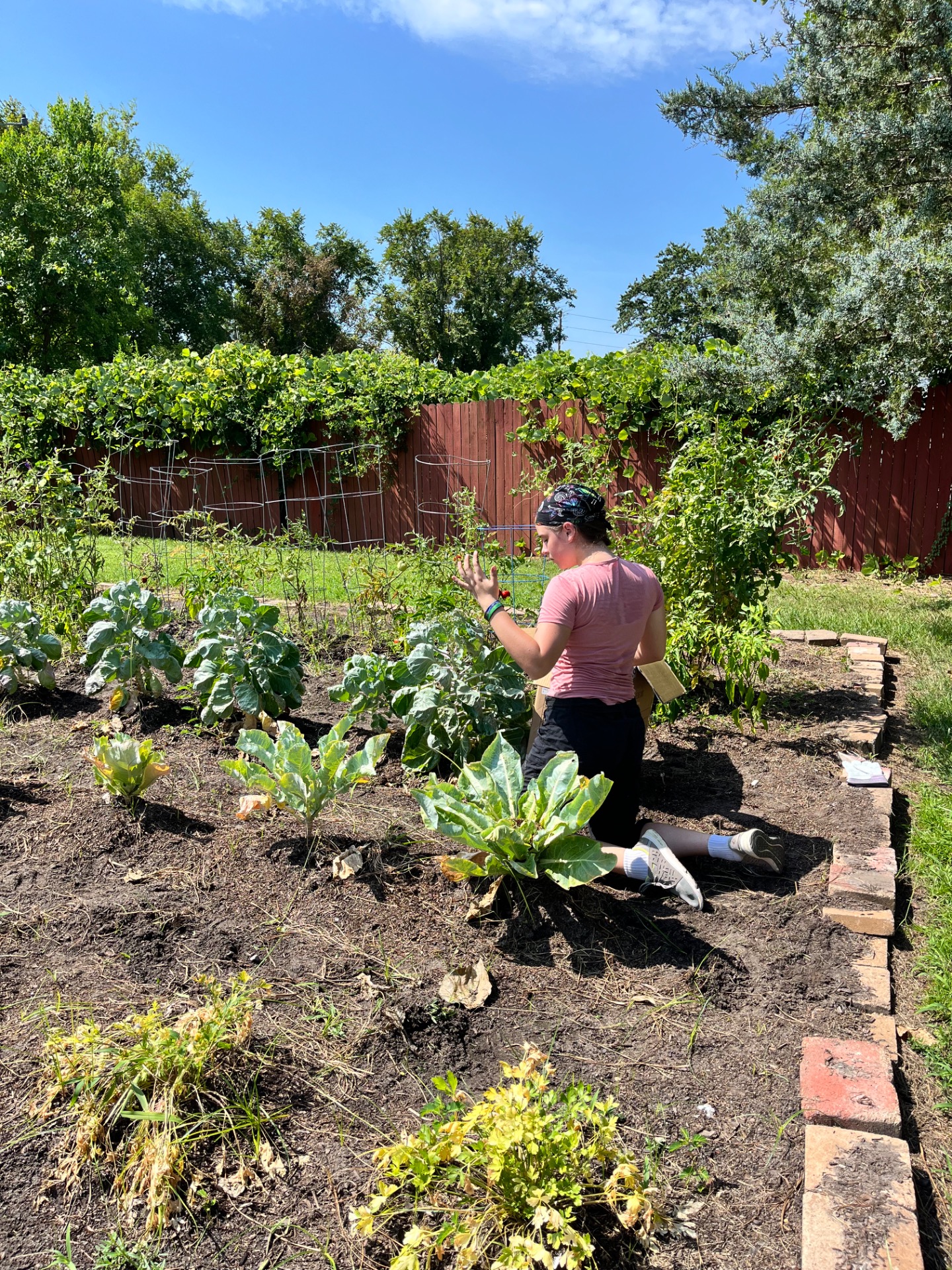 Garden of Wilmington
