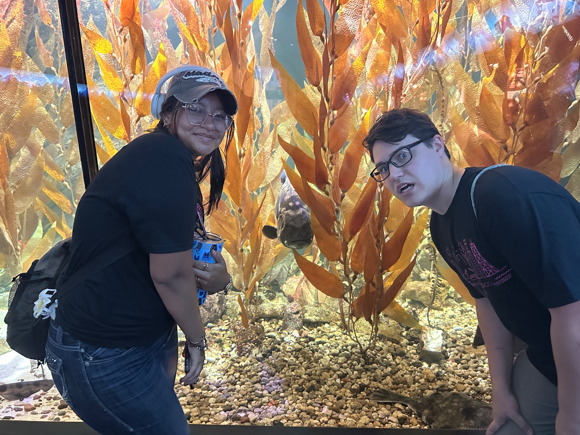 Amongst the Fish