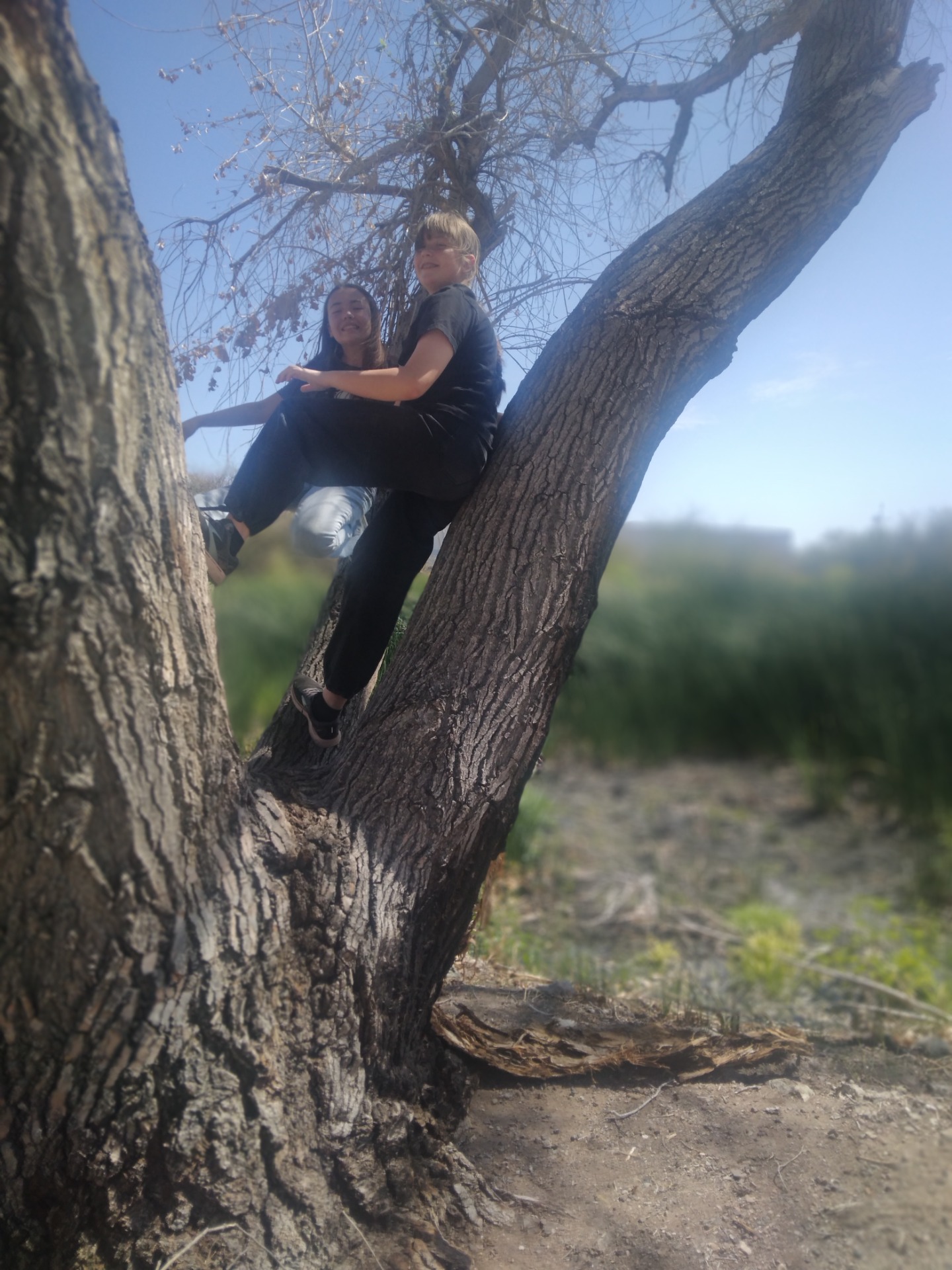 Monkeying Around
