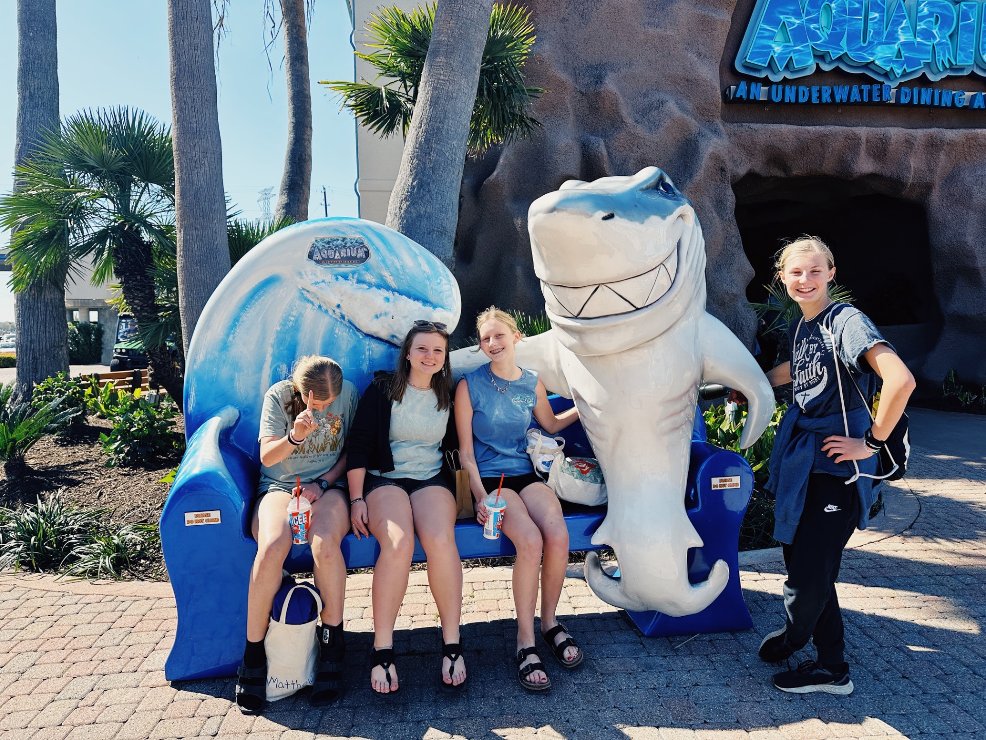 Jaws….