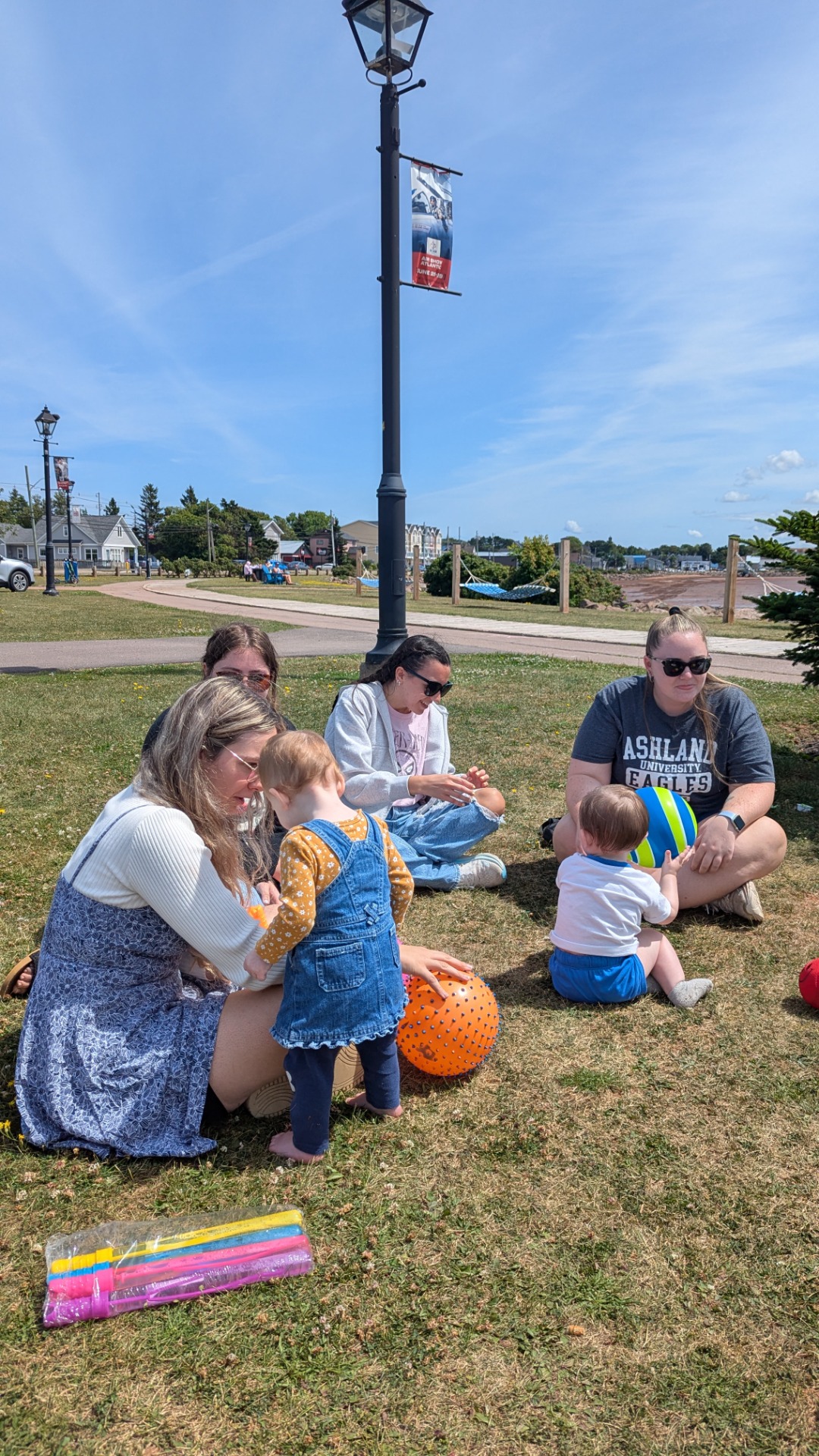 Moms & Babies Picnic 