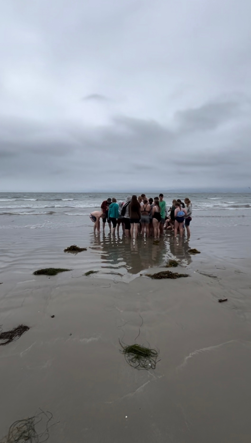 A Cold Day at the Beach 