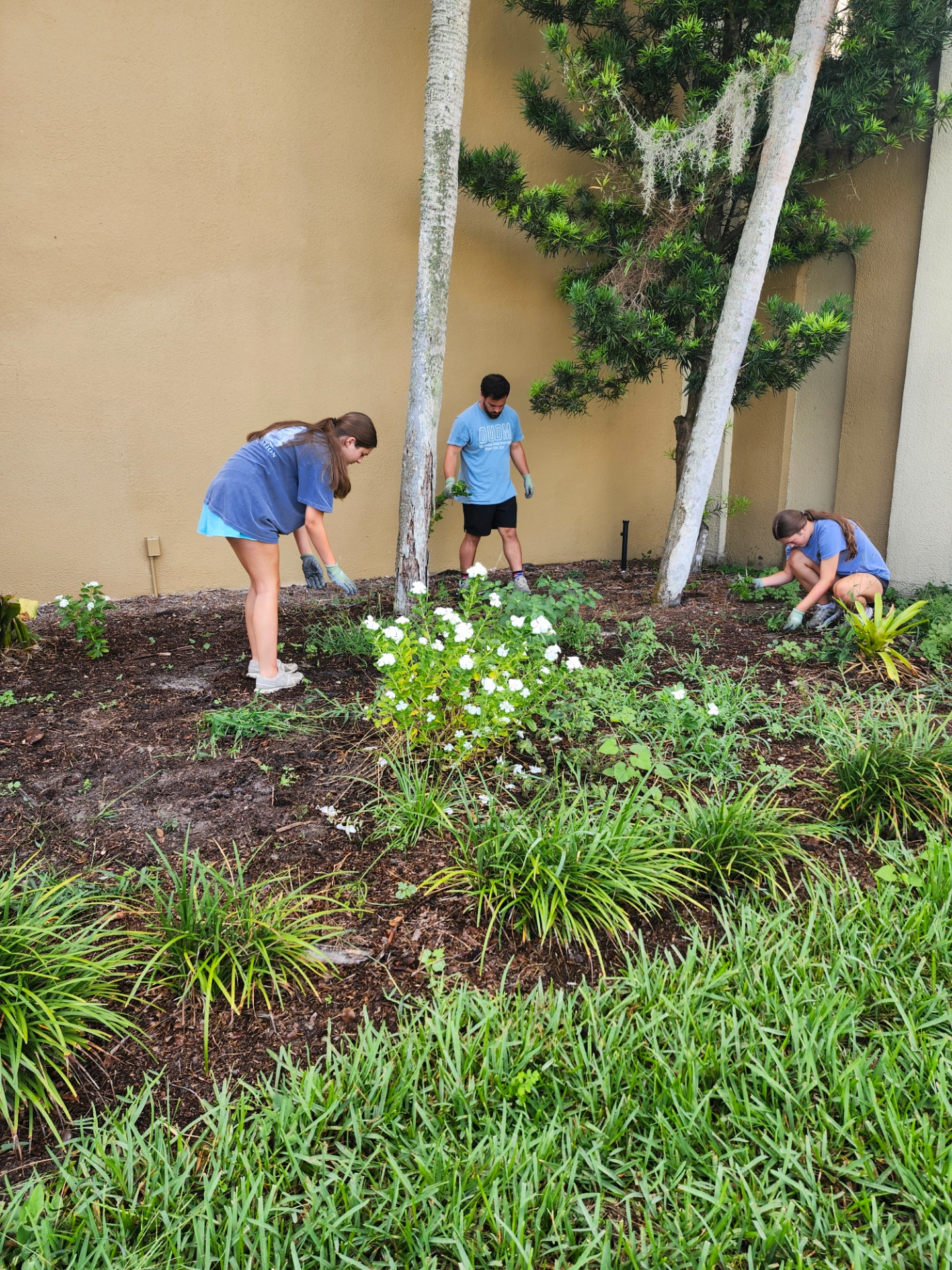 Community church weeding