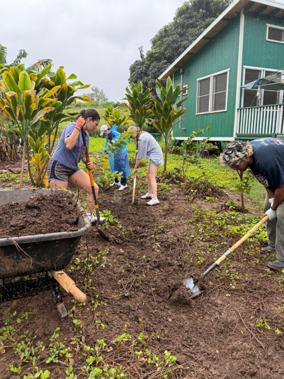 Let’s Get Shoveling