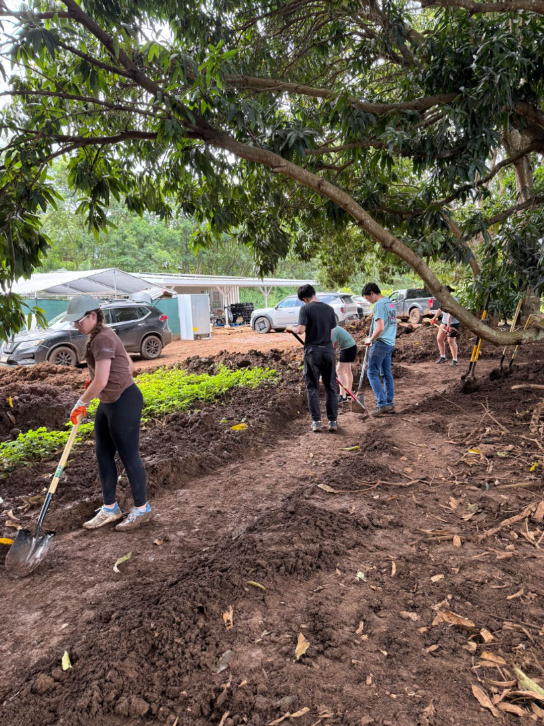 Look at that Water Pathway