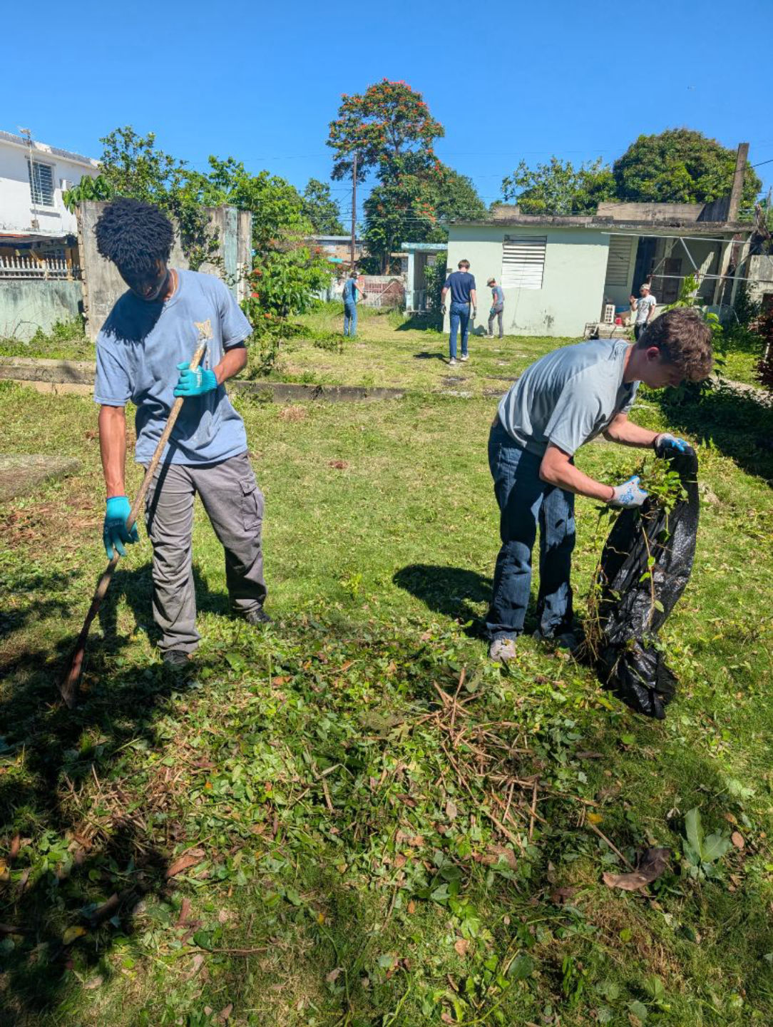 Yardwork Day 2