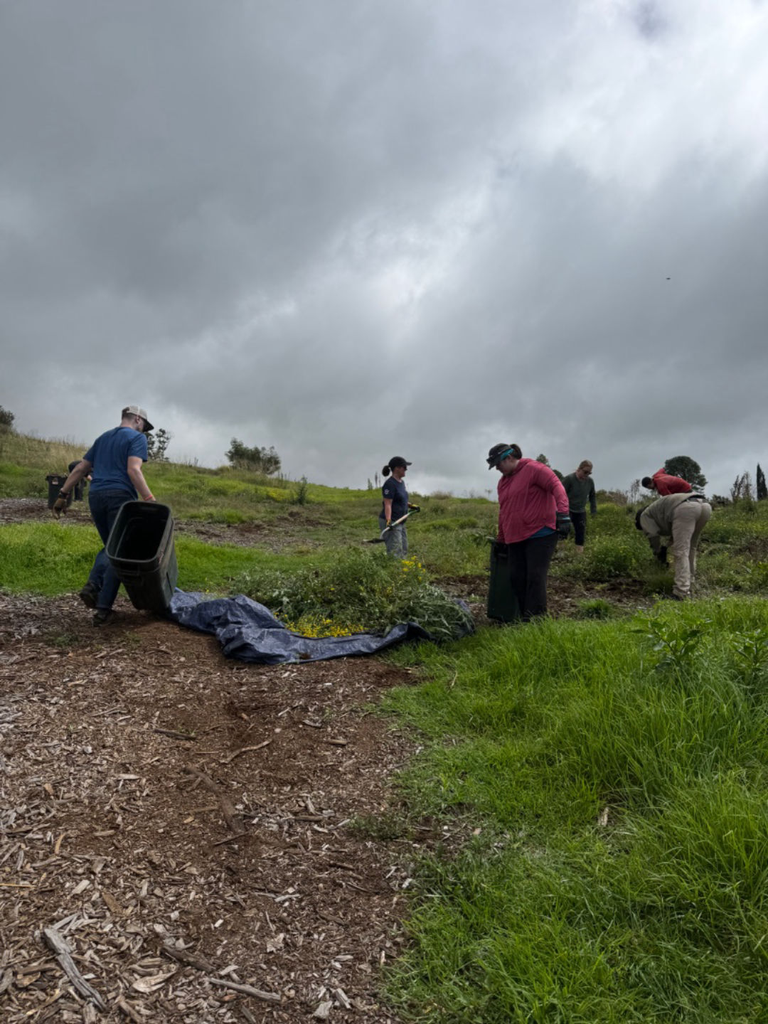 Your Local Gardener!