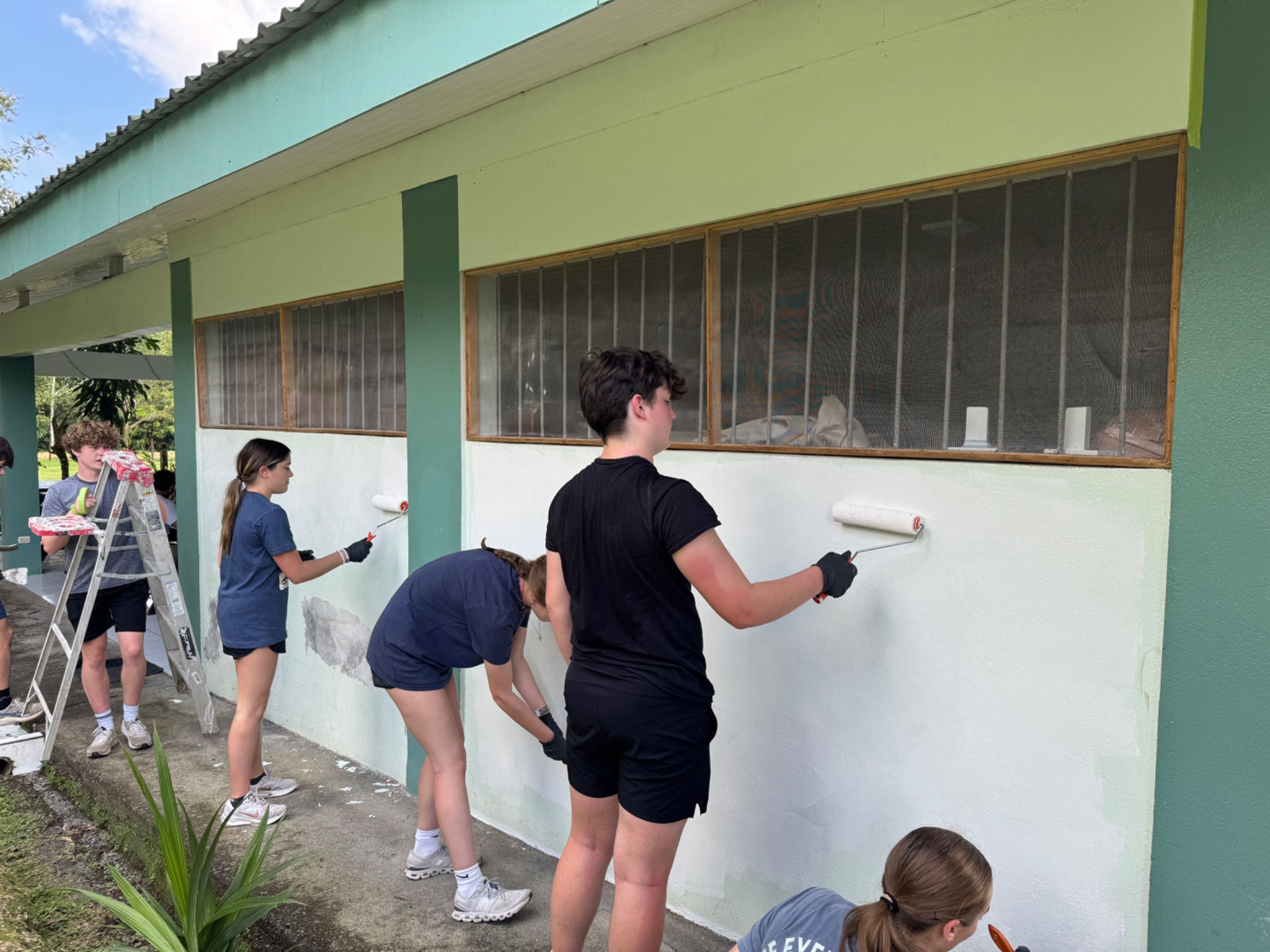 Painting Project 