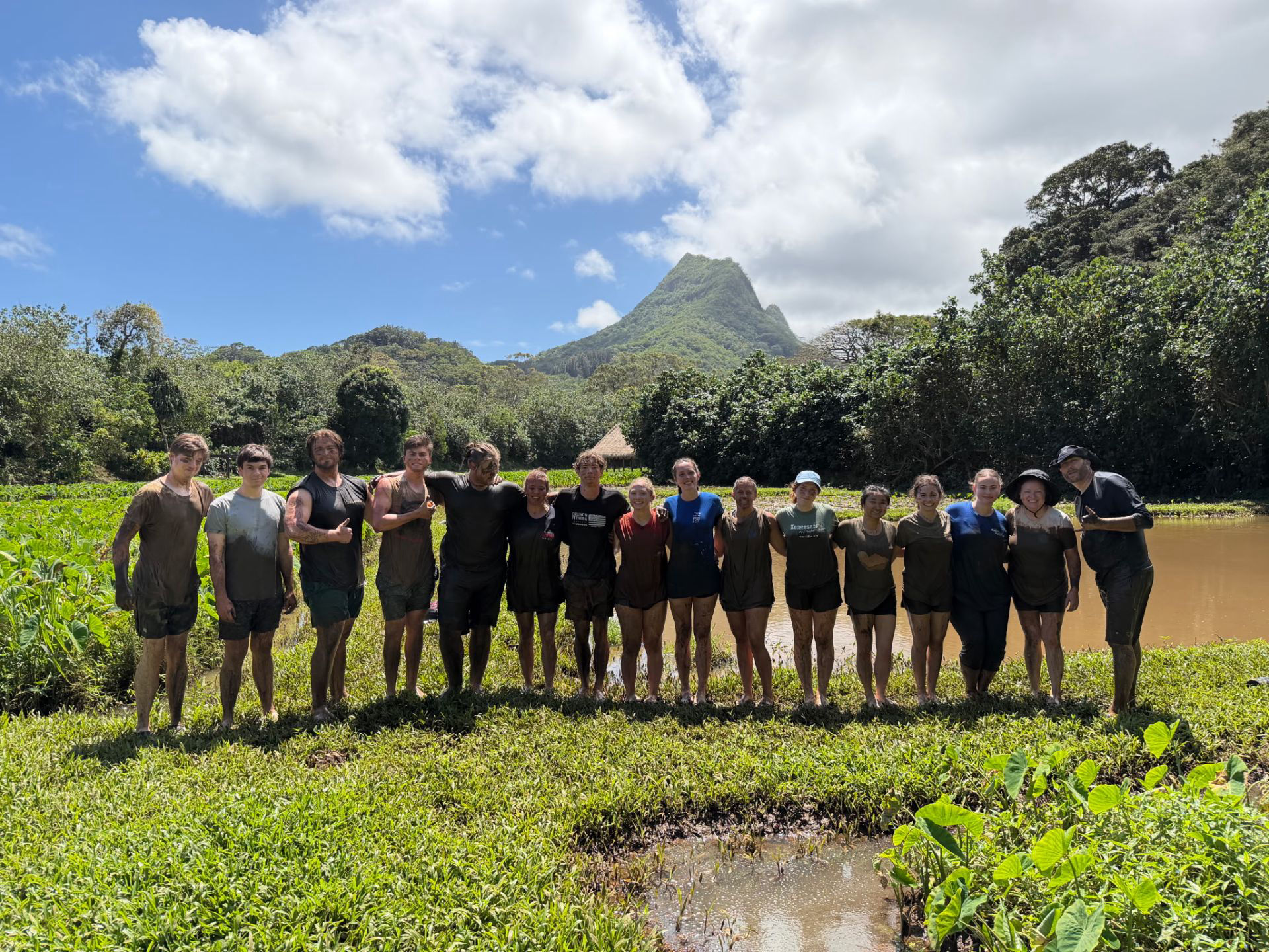Kalo Farming