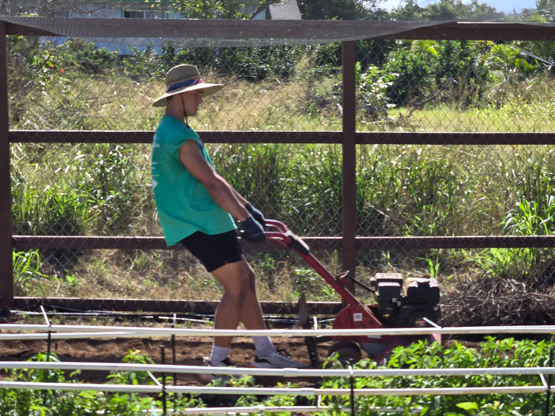 Day #2 at St. Paul's Episcopal Tomato Garden