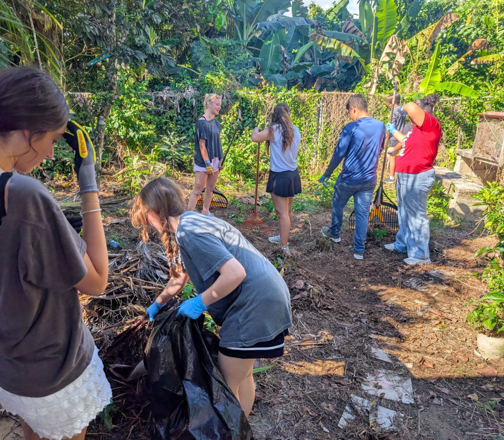 Working at Lizette's House