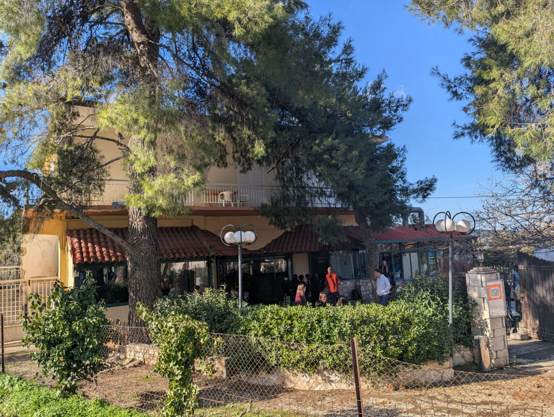 Shelter by the Pine Trees