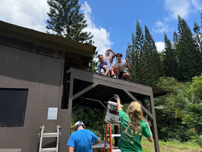 Painting The Top