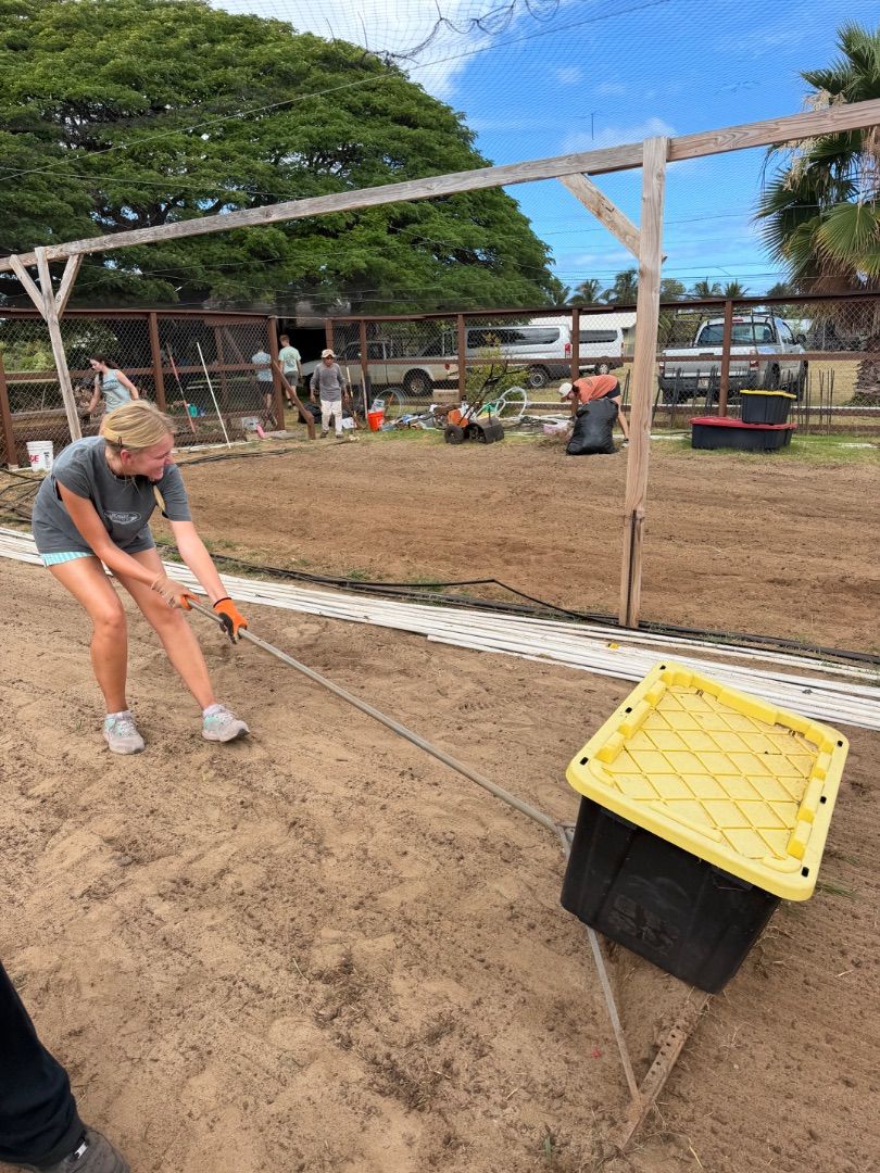 St. Paul Garden Project