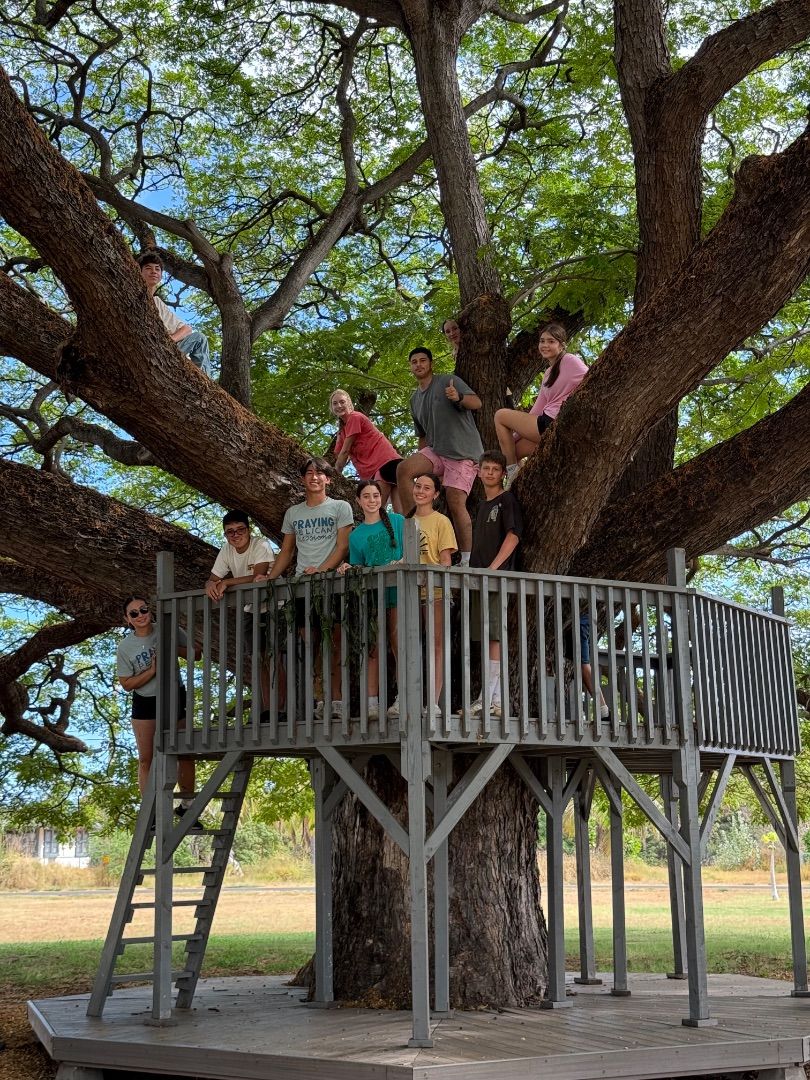 Up in the Treehouse