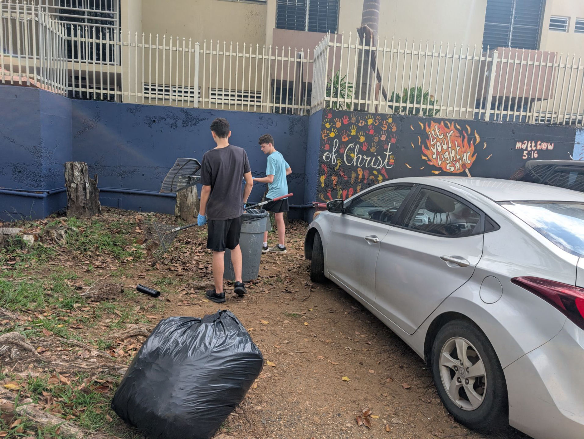 Yardwork Day 1