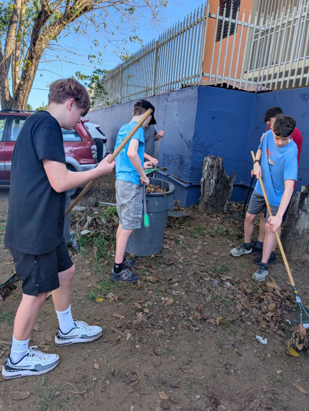 Yard Work Day #2