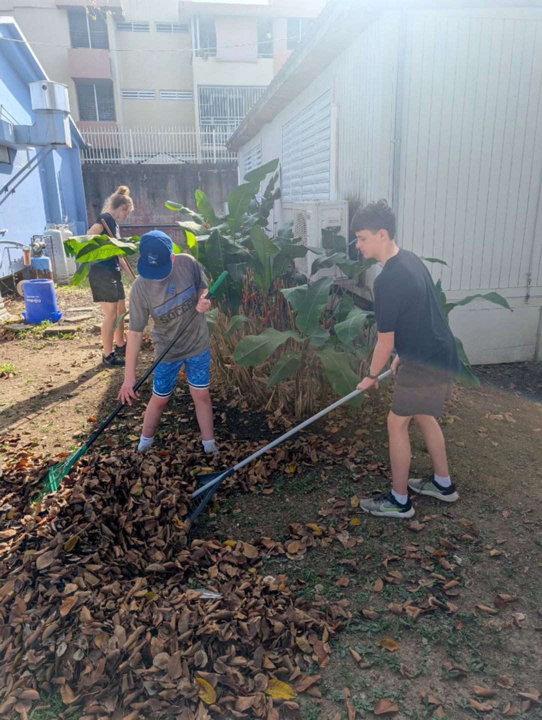 More Yardwork 