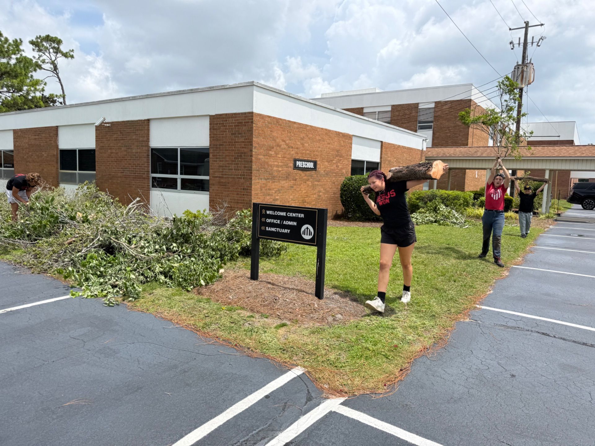 Cleaning Up Trees